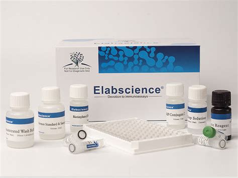 Noradrenaline Competitive ELISA Kit 